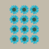 Dried pressed Daisy Flower-Sky blue